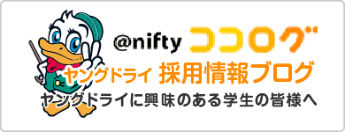 ヤングドライの採用ブログ