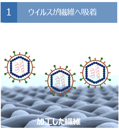 ウイルスが繊維へ吸着