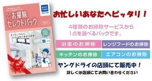 プレゼントにいかがでしょうか？のチラシ