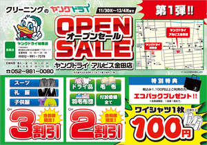 アルビス金田店 OPEN！のチラシ