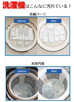 洗濯機の中はカビがビッシリ！のチラシ