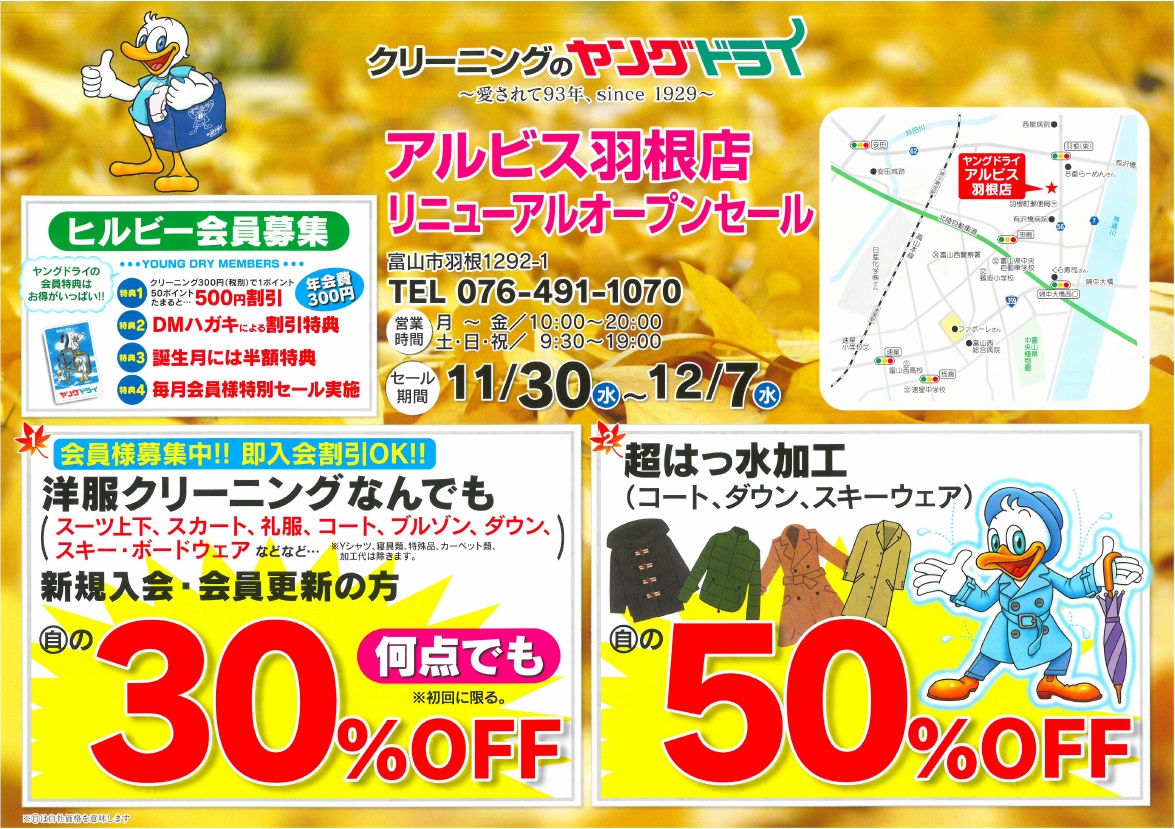 アルビスチンのリーフレット